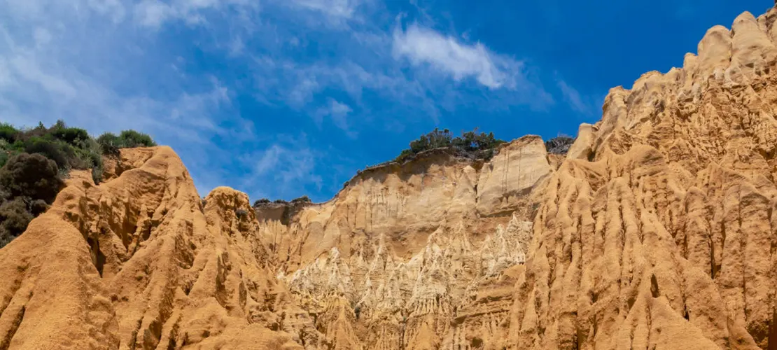 Beach Bliss at Praia da Mata