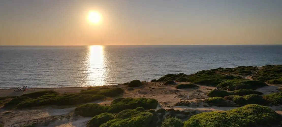 Arriba Fóssil Natural Reserve